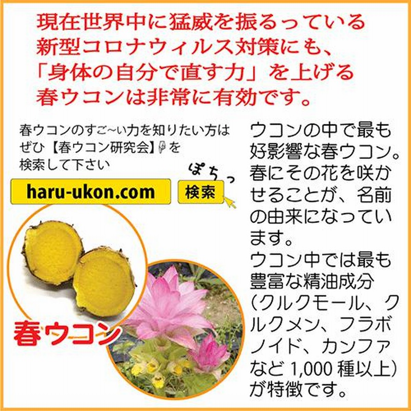 女性が喜ぶ♪ 琉球酒豪伝説 6包入り×2袋 お試し 二日酔い サプリ 酒豪伝説 ウコン 飲み方 効果 お酒 予防 沖縄 サプリメント 飲む前  飲み終わり どっち 沖縄産 歓送迎会 お酒が好き 飲み会 沖縄ウコン ウコンの力