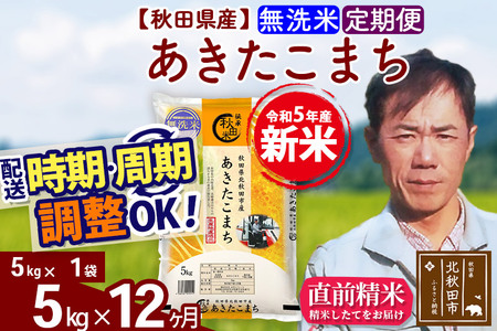 《定期便12ヶ月》＜新米＞秋田県産 あきたこまち 5kg(5kg小分け袋) 令和5年産 お届け時期選べる 隔月お届けOK お米 みそらファーム 発送時期が選べる