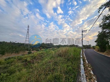 新化區近拔國小2.8分農地｜台南市新化區??拔林段