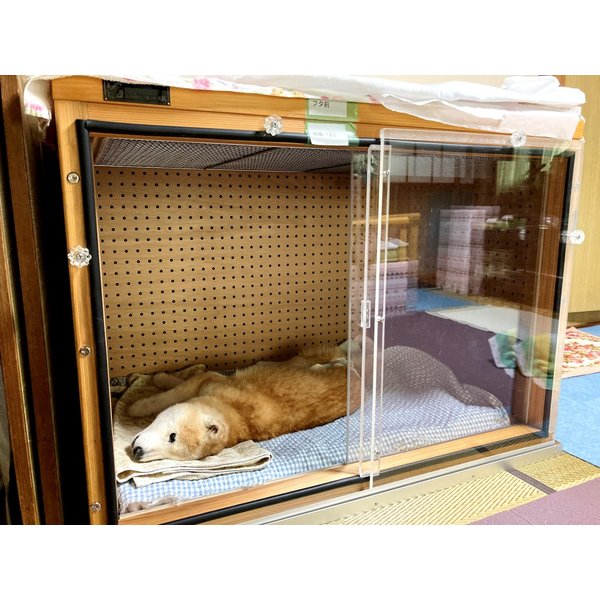 累計販売2万枚突破 犬 猫 防音室 防音ケージ 防音小屋 在庫処分セール