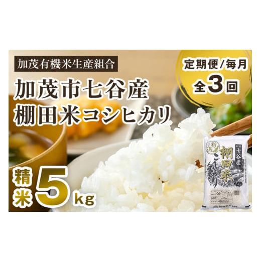 ふるさと納税 新潟県 加茂市 新潟県加茂市 七谷産 棚田米コシヒカリ 精米5kg 白米 加茂有機米生産組合