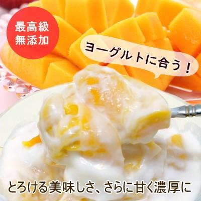 ドライフルーツ 無添加 半生 ドライマンゴー 300g(100g×3) フィリピン セブ島産 太陽の恵み おつまみ ギフト