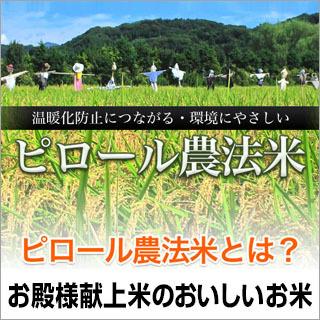 新米 令和5年(2023年) ピロール農法米 10kg(2kg×5袋)（未検査米）