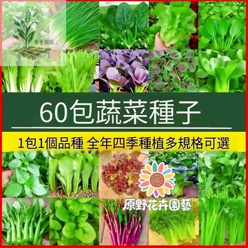 （60款蔬菜種子）青菜種子大全（一份一規格）薄荷香菜大蔥番茄萵苣空心菜青江菜A菜辣椒~葉菜果菜香料種子高產#台灣自留種