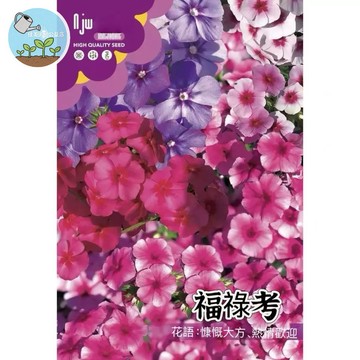 【原廠包裝】福祿考種子Floss flower芝櫻/針葉天藍繡球 開花地毯 多年生蜜源植物 陽台盆栽 耐熱易種 四季可播
