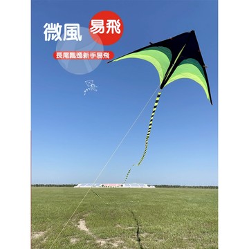 『台灣現貨』🎈小菲格格婦幼館🎈成人兒童風箏大草原露營微風易飛超美尾巴風箏MA01-52 風箏 戶外 運動 飛行 玩具