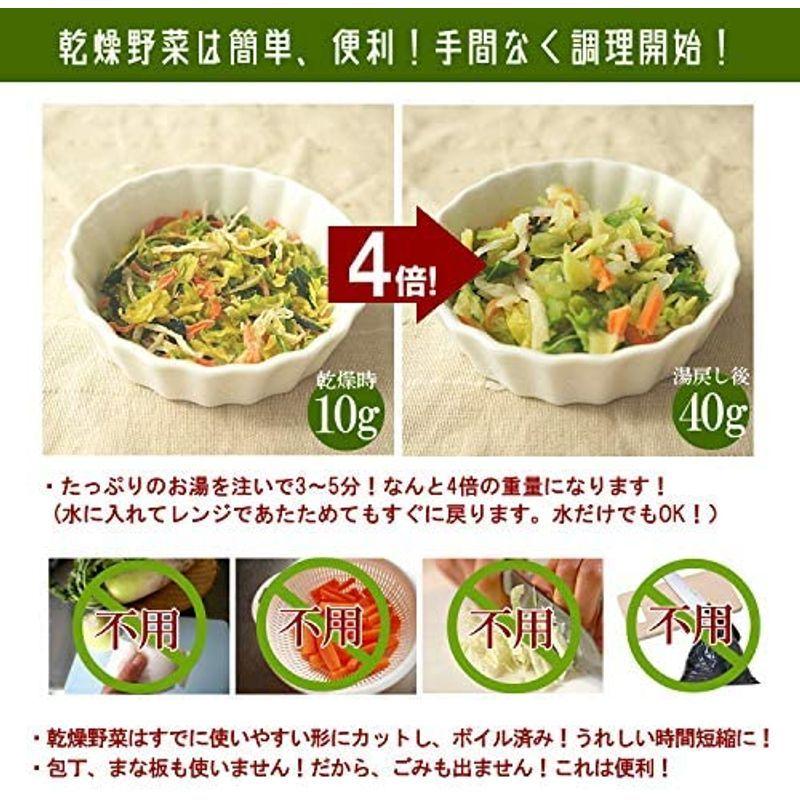 九州産 乾燥れんこん (1kg×3) 国産 乾燥野菜 長期保存 非常食 みそ汁の具