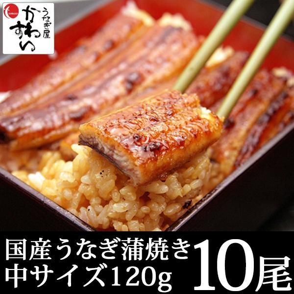 ＼まとめ買いにおすすめ／10尾セット 国産 うなぎ 蒲焼き 120g 鰻 ギフト 蒲焼 うなぎ蒲焼 送料無料