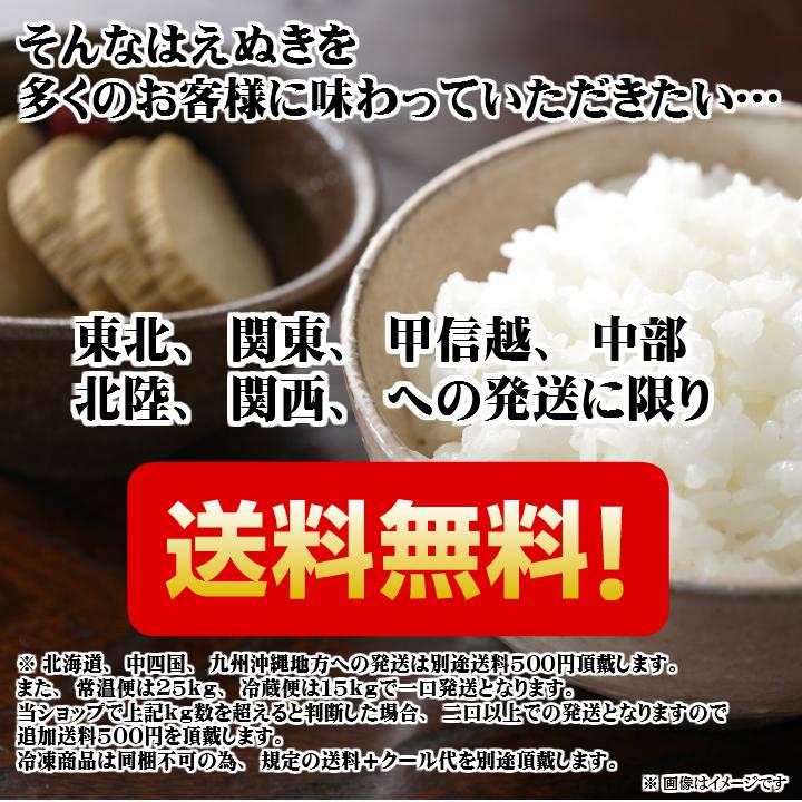 ☆新米 「はえぬき」山形県庄内産 令和5年(2023) 白米 10kg 10月上旬発送