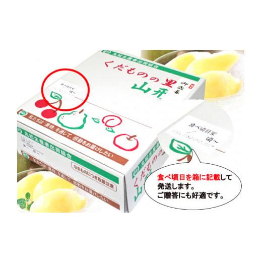 ふるさと納税 山形県 寒河江市 洋梨 「追熟 ラ・フランス」 5kg（14〜18玉） 令和5年産 山形県産　018-B-MM026