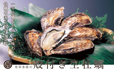 牡蠣 坂越かき 殻付き牡蠣 90個 軍手・オイスターナイフ付き[ 生牡蠣 かき カキ 殻付 生食 冬牡蠣