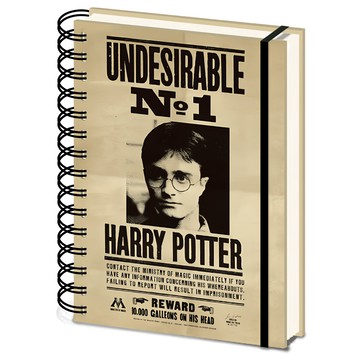 PYRAMID INTERNATIONAL 哈利波特 3D封面筆記本 Harry Potter Sirius 尺寸21 x 16 x 4公分  波特&天狼星通緝令 卡其色  1本