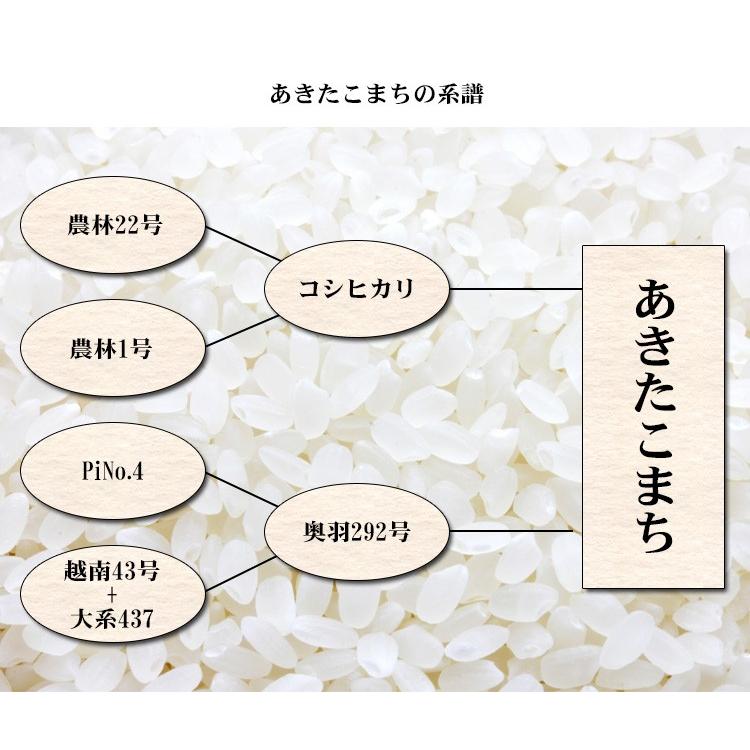 新米 無洗米 2kg 送料別 あきたこまち 秋田小町 秋田県産 令和5年産 米 2キロ お米 食品