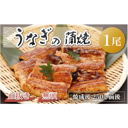 ふるさと納税 福井県 勝山市 血抜きうなぎの蒲焼（無頭） 焼成後250g前後×1尾 国産 [A-044002]