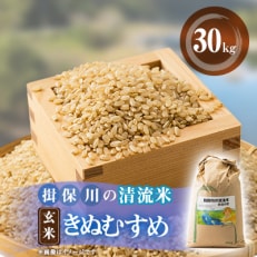 令和5年度　揖保川の清流米(きぬむすめ30kg)