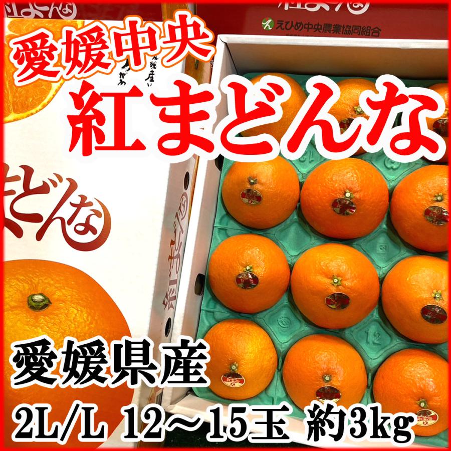 紅まどんな 愛媛県産みかんトップブランド 愛媛中央限定 2L〜L 12〜15玉 約3kg 送料無料 高級みかん 贈答用 高級柑橘 訳あり品ではございません