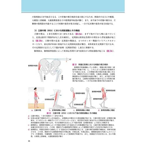 症例動画から学ぶ臨床歩行分析~観察に基づく正常と異常の評価法