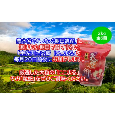 ふるさと納税 ★令和5年産★2010年・2016年 お米日本一コンテスト inしずおか 特別最高金賞受賞土佐天空の郷　にこまる 2kg　毎月お届け全6回 高知県本山町