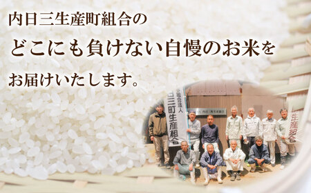 ご飯パック 150g × 20パック 米 無洗米 山口 県産 コシヒカリ 特別栽培米エコ50 パックライス パックご飯 レトルト レンジアップご飯 アウトドア キャンプ 保存食 (化学農薬・肥料50以上削減 精米まで一貫加工) DZ8019