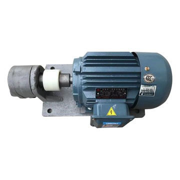 大功率齒輪減速電機加工WBZ臥式液壓齒輪泵電機組三相異步電動機[DD1211001]