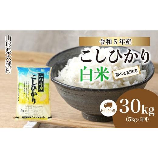 ふるさと納税 山形県 大蔵村 令和5年産 大蔵村 コシヒカリ  定期便 30kg （5kg×1か月間隔で6回お届け）