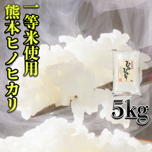 お米 米 5kg 白米 一等米使用 熊本県産 ひのひかり 新米 令和5年産 ヒノヒカリ あす着 5kg1個 くまもとのお米 富田商店 とみた商店