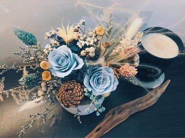 一抹藍 丨 永生乾燥樹皮盆花