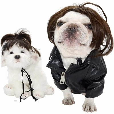 犬 猫 かつら ペットウィッグ 可愛い 面白い 犬用 コスチューム ハロウィン コスプレ 変装 被り物 小型犬 中型犬 変身服 通販 Lineポイント最大get Lineショッピング