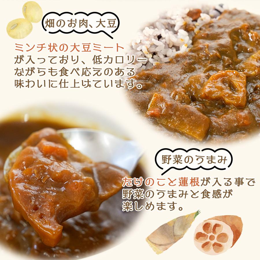 1日に必要な食物繊維1 2摂取 大豆ミートのキーマ風カレー 180ｇ レトルトカレー