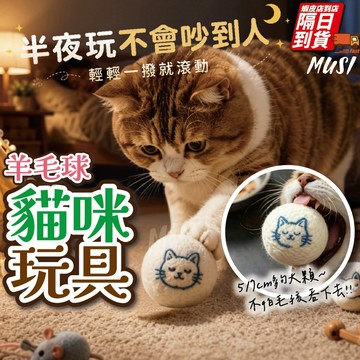 [隔日到/發票 靜音/內咬/激發貓咪狩獵本能]貓咪玩具 貓玩具 貓咪玩具球