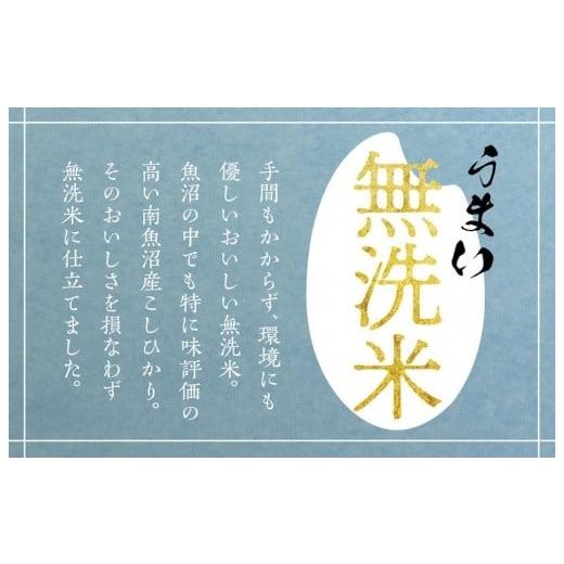 ふるさと納税 新潟県 南魚沼市 （5kg×全12回）無洗米　南魚沼産こしひかり