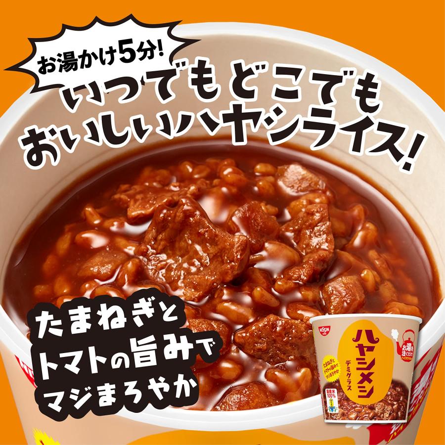 日清食品 日清ハヤシメシ デミグラス 103g×6個