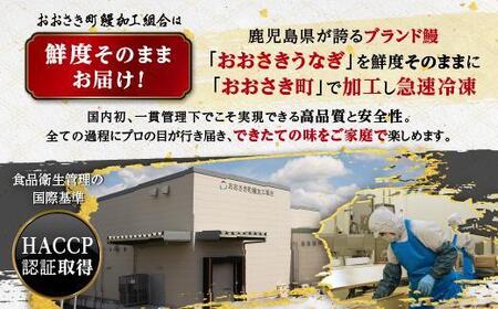 鹿児島県産うなぎ長蒲焼5尾　合計800g