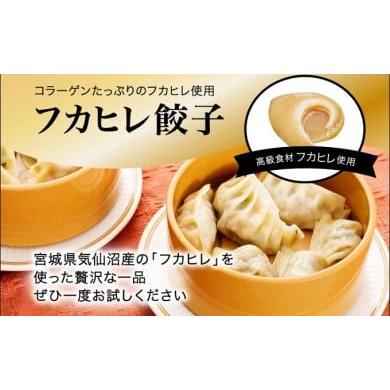 ふるさと納税 栃木県 さくら市 「宇都宮餃子館」フカヒレ餃子 640ｇ（32個）≪ギョーザ 冷凍餃子 冷凍食品 グルメ 食品 惣菜 中華惣菜 点心 中華≫