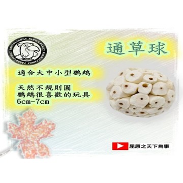 鸚鵡玩具 松果玩具  玉米皮玩具 鸚鵡通草球  鸚鵡週邊 鸚鵡通用 鸚鵡解膩 鸚鵡磨牙  鸚鵡籐球