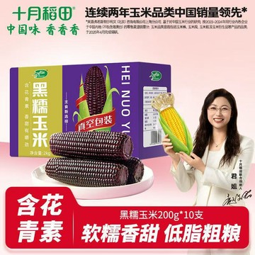 玉米棒 東北黑糯玉米真空包裝粘黏糯 玉米棒鮮苞米非轉基因