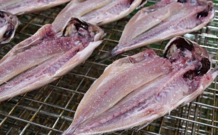 干物 魚 あじ ひもの 鯵ごのみ 15枚 中サイズ セット 沼津 送料無料