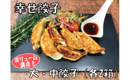 011-25幸せ餃子のボリューム満点こだわり大・中餃子（各２箱）