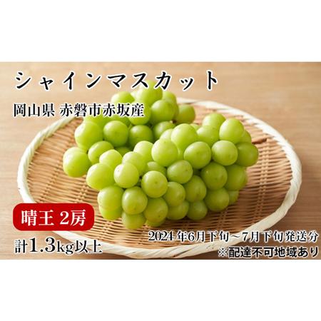 ふるさと納税 ぶどう 2024年 先行予約 シャイン マスカット 晴王  2房 合計1.3kg以上 2024年6月下旬〜7月下旬発送分 ブドウ 葡萄 岡山県 赤磐市.. 岡山県赤磐市