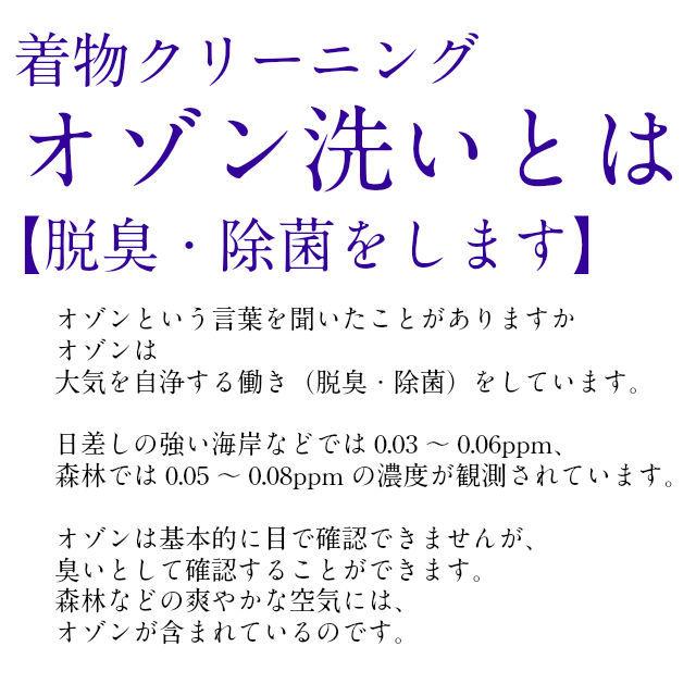 着物 クリーニング オゾン加工 抗菌 丸洗い しみ抜き プレス付 追加料金なし 洗い 洗濯 きれい たとう紙納品 きもの クリーニング 生洗い 着物クリーニング