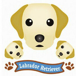 FIELD&POINT 超可愛狗狗車貼(拉布拉多亮黃)