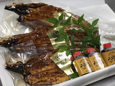 有頭国産鰻炭火焼き　3尾セット（1尾約170g）