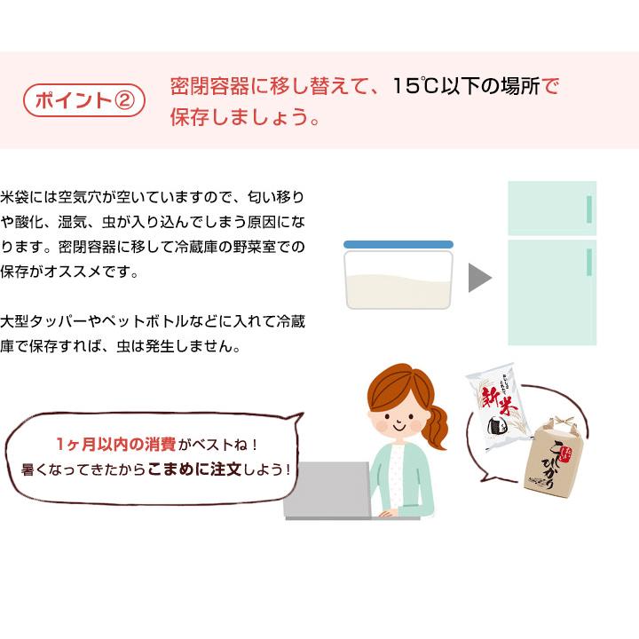 4年産　佐賀県ご飯ソムリエ厳選！佐賀米 10kg(5kg×2袋) 佐賀県産