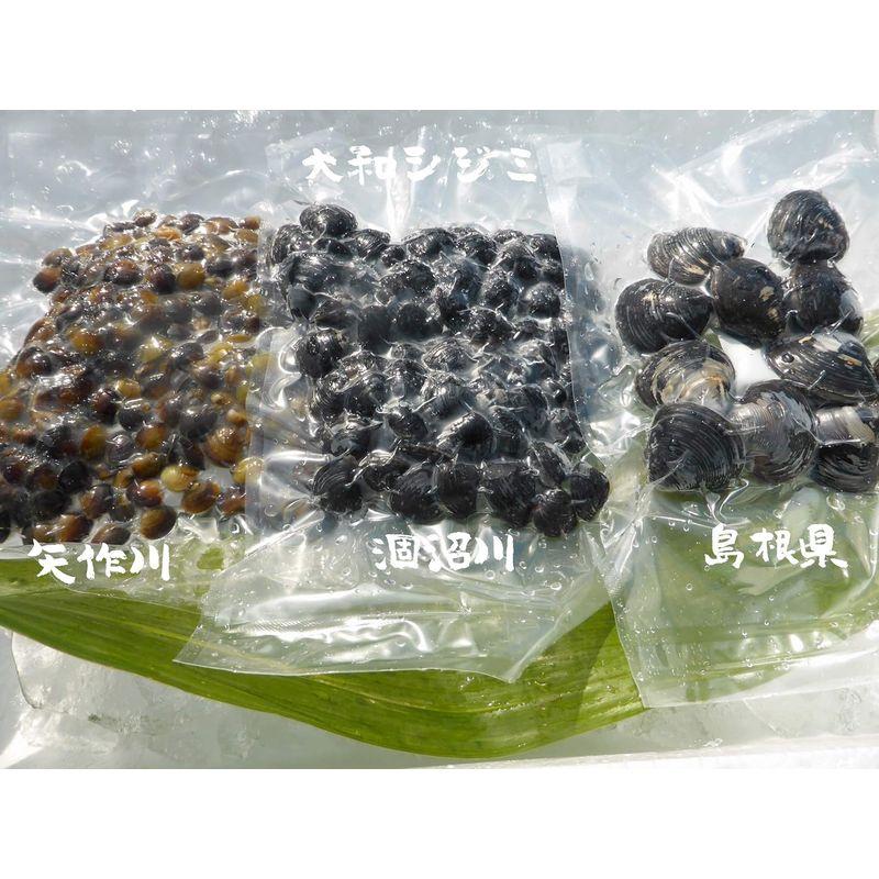 冷凍しじみ 特大 茨城県産 200g 10セット