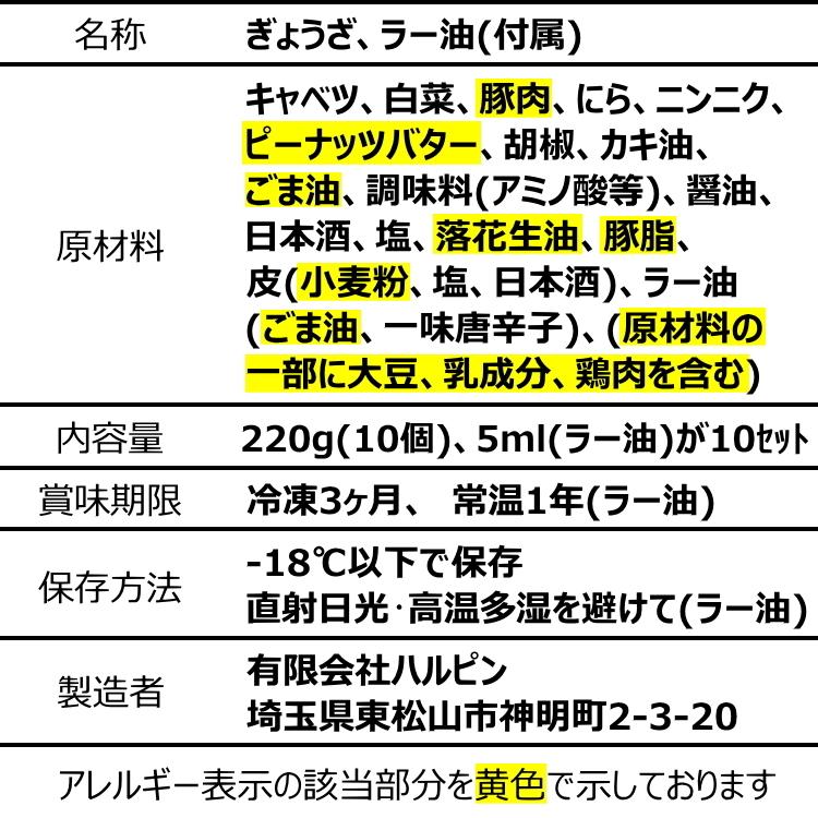 餃子 ギョーザ 10パック 取り寄せ 手づくり 冷凍 点心 中華