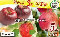 旬のりんご  家庭用 5kg × 3回 渡辺農園 沖縄県への配送不可 2023年10月上旬頃から2023年12月中旬頃まで順次発送予定 令和5年度収穫分 エコファーマー認定 減農薬栽培 長野県 飯綱町 [1375]