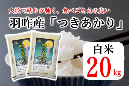 [A153] 《R5年産》つきあかり　20kg（10kg×2袋）