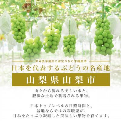 ふるさと納税 山梨市 山梨産シャインマスカット 2房(1.2kg以上) プレミアム