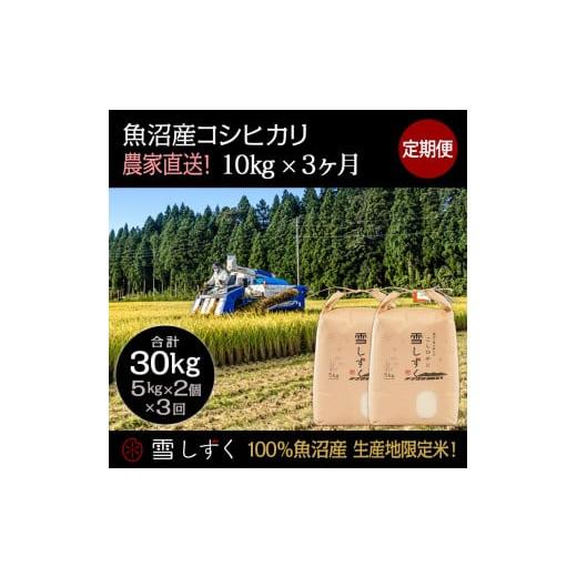 ふるさと納税 新潟県 十日町市 定期便！魚沼産コシヒカリ毎月10kg×3回