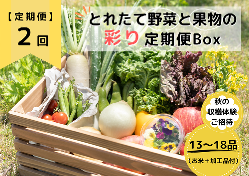 ★個数限定★とれたて野菜と果物の彩り定期便Box 13品目から18品目の豪華セット（収穫体験付き）